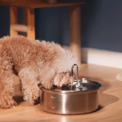 Pure, flowing water for a healthier, happier cat.