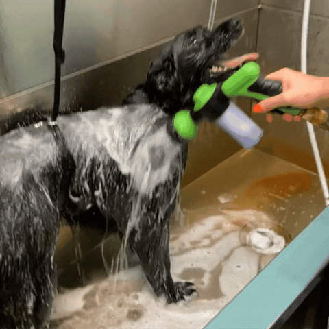 Bath time made easy—for you and your pet.