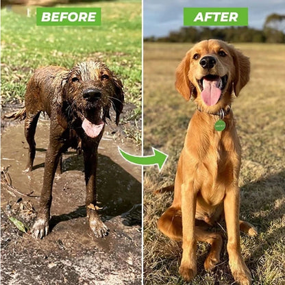 Transform Bath Time with the 3-Mode Adjustable Pet Shower Nozzle Gun - Effortless Soap and Foam Sprayer for Dogs!