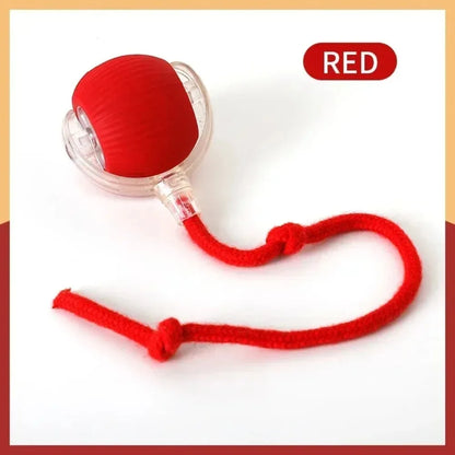 Introducing the Purr-fect Playmate: The Cat's Whisker Automatic Rolling Ball Toy – Rechargeable Fun That Imitates a Cheeky Mouse!