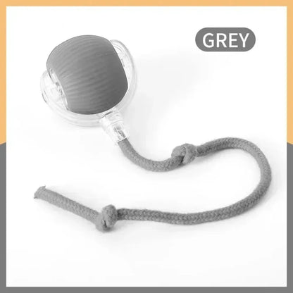 Introducing the Purr-fect Playmate: The Cat's Whisker Automatic Rolling Ball Toy – Rechargeable Fun That Imitates a Cheeky Mouse!