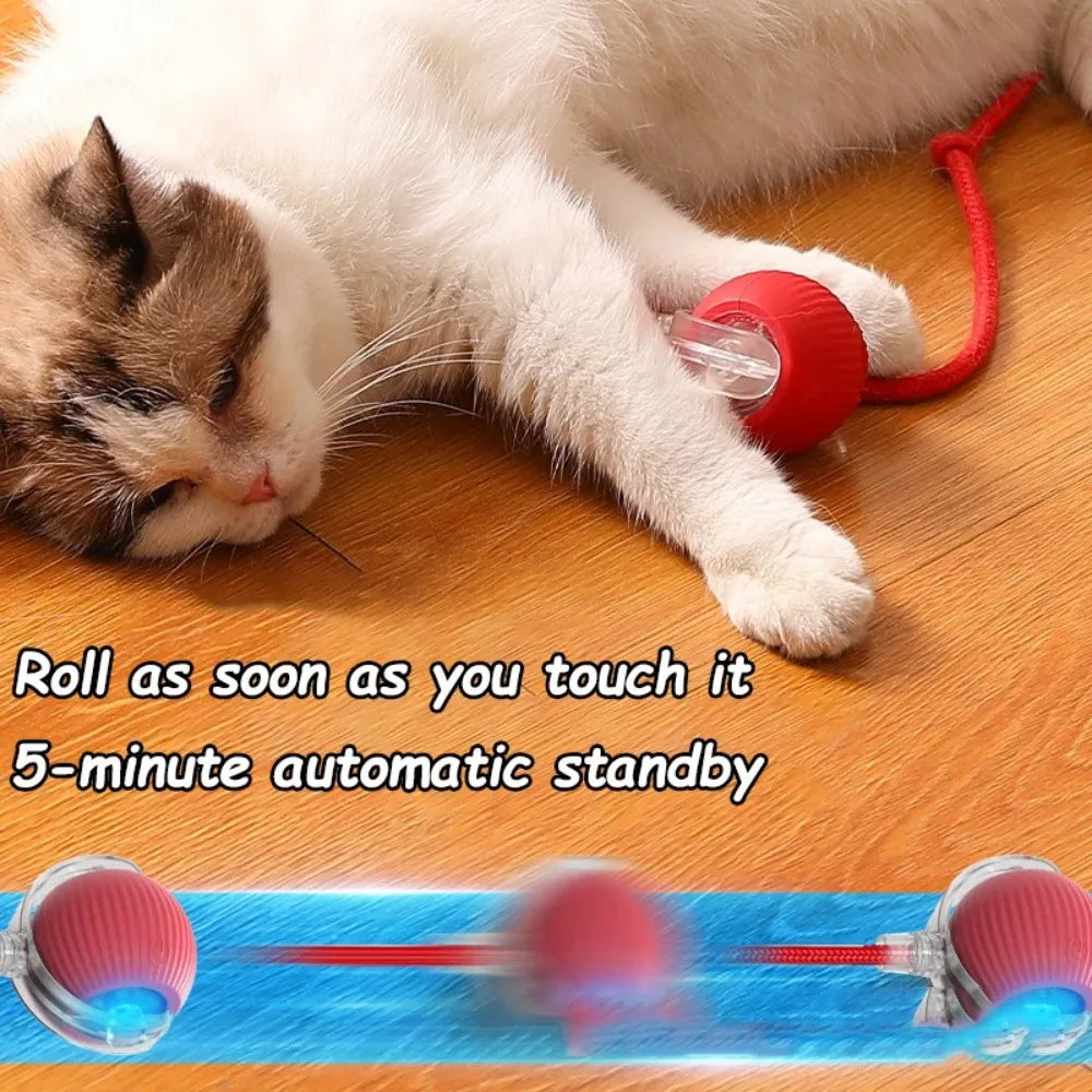 Introducing the Purr-fect Playmate: The Cat's Whisker Automatic Rolling Ball Toy – Rechargeable Fun That Imitates a Cheeky Mouse!