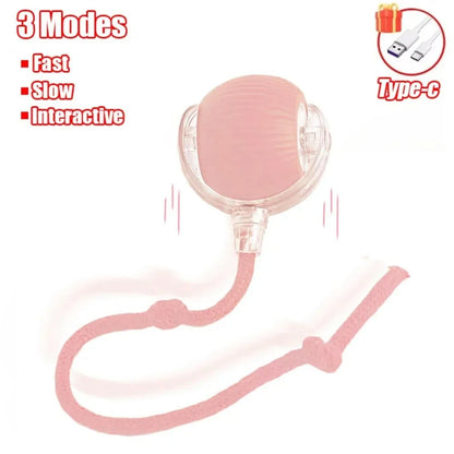 Introducing the Purr-fect Playmate: The Cat's Whisker Automatic Rolling Ball Toy – Rechargeable Fun That Imitates a Cheeky Mouse!