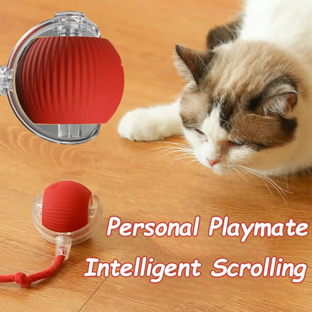Introducing the Purr-fect Playmate: The Cat's Whisker Automatic Rolling Ball Toy – Rechargeable Fun That Imitates a Cheeky Mouse!