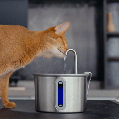 Pure, flowing water for a healthier, happier cat.