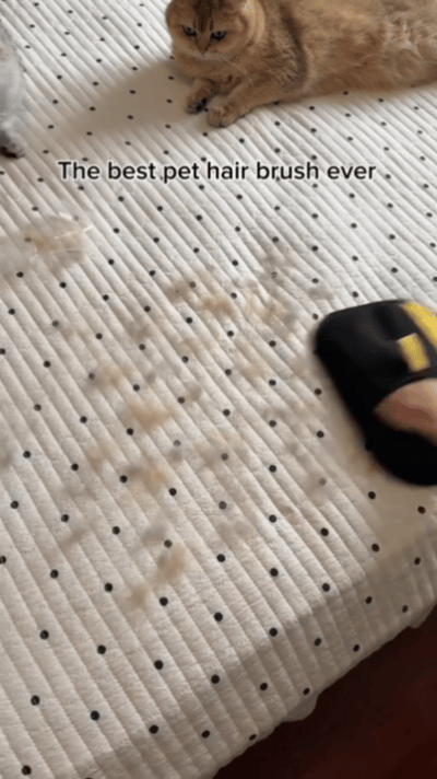 Fur-Free Living – Reusable Pet Hair Removal Gloves