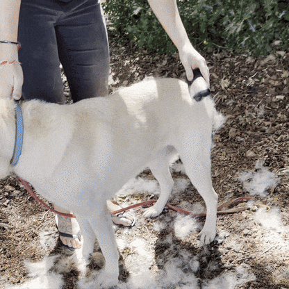 Ultimate Pet Deshedding Brush - Transform Your Dog or Cat's Fur with Ease!
