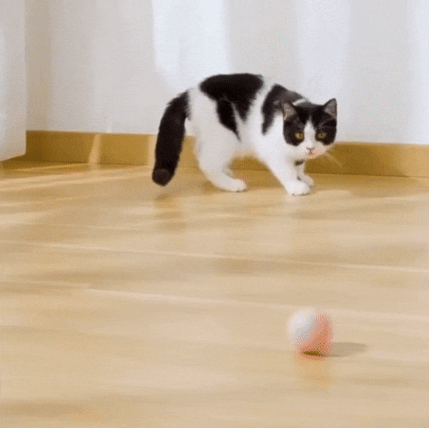 Smart Interactive Cat Toy – Rolling Ball with Faux Tail