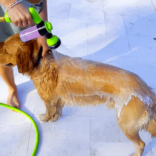 Bath time made easy—for you and your pet.